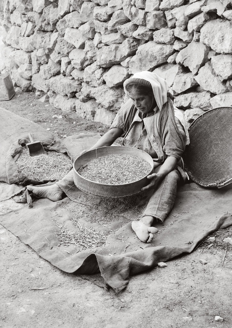 Крестьянка, просеивающая пшеницу. 1900-1920